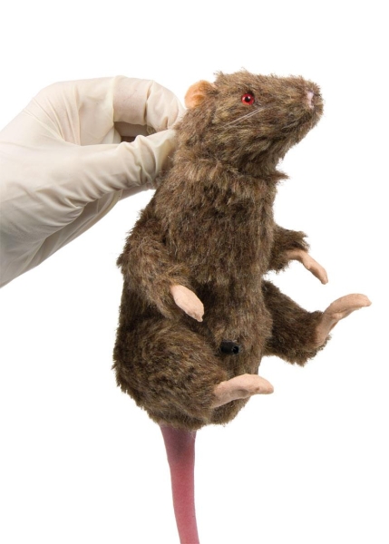 Laboratoriumrat Oefenmodel