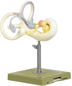 Labyrint Model
