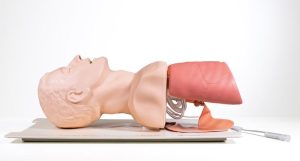 Laerdal Luchtwegbeheer Trainer