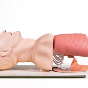 Laerdal Luchtwegbeheer Trainer