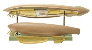 Lancetvisje Model