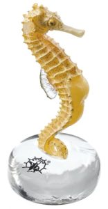 Langsnuitzeepaardje Model