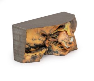 Laterale Oogkas, 3D-Print