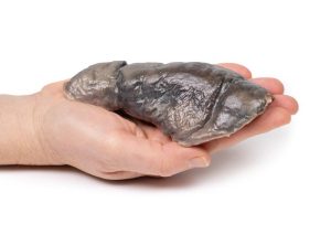 Long - Cystische Fibrose, 3D Print