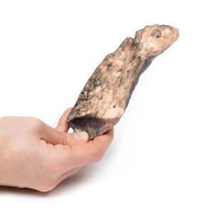 Long - Cystische Fibrose, 3D Print