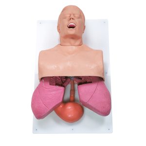 Airway Management en Intubatie