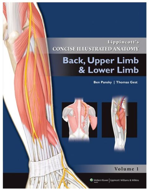 BACK, UPPER LIMB AND LOWER LIMB, Lippincott
