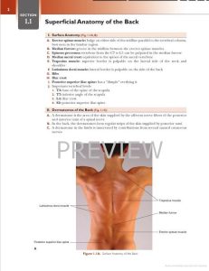 BACK, UPPER LIMB AND LOWER LIMB, Lippincott