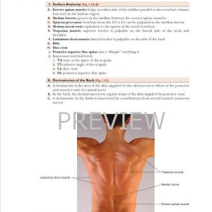 BACK, UPPER LIMB AND LOWER LIMB, Lippincott