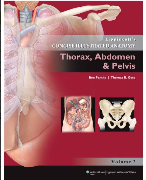 THORAX, ABDOMEN & PELVIS, Lippincott's