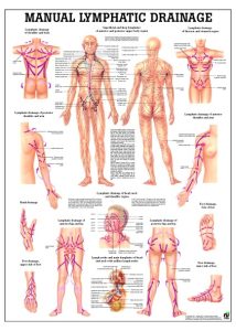 Lymfedrainage Poster