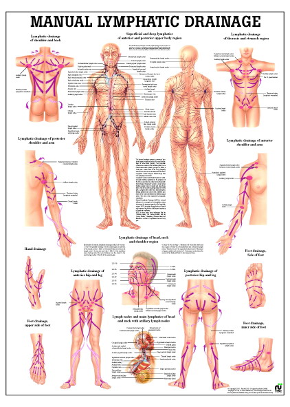 Lymfedrainage Poster