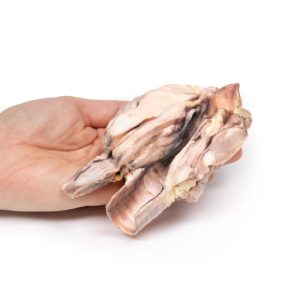 Lymfoom in de Schildklier, 3D Print