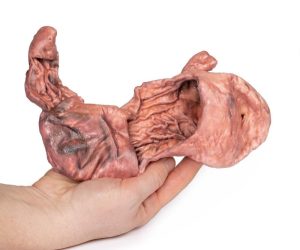 Maag, 3D Print