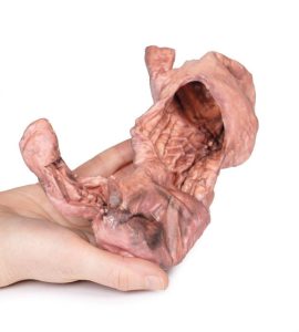 Maag, 3D Print
