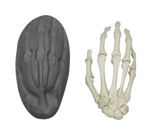 Magnetisch Handskelet