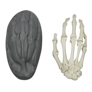 Magnetisch Handskelet