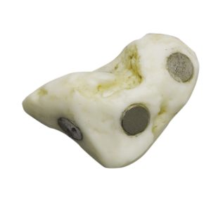 Magnetisch Handskelet