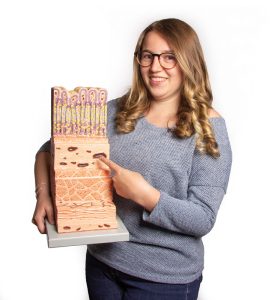 Micro-anatomie Model Maagwand