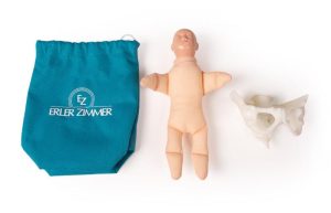 Mini Bekkenmodel met Foetuspop