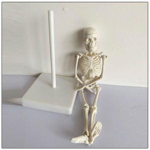 Mini Skelet Model, 20 cm