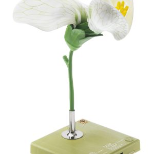 Model Bloem van de Erwt
