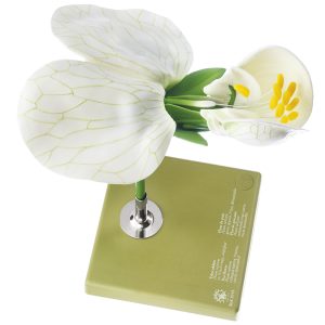 Model Bloem van de Erwt