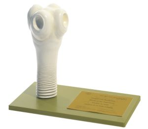 Model Kop Runderlintworm