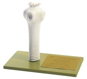 Model Kop Varkenslintworm