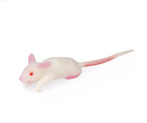 Muis Simulatiemodel