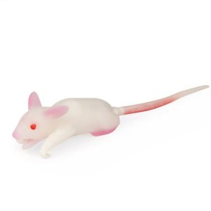 Muis Simulatiemodel