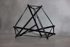 Myofasciaal Tensegrity Model