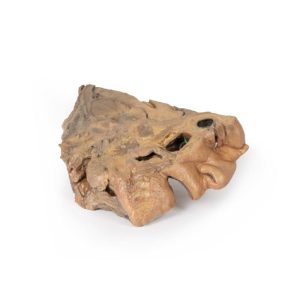 Neusbijholten, 3D Print