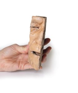 Neusbijholten, 3D Print