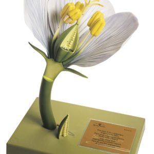 Model Niet-Verenigd Bloemdek van een Bedektzadige Bloem, 11-delig