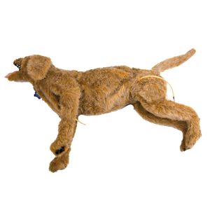 Oefenhond Acute Zorg