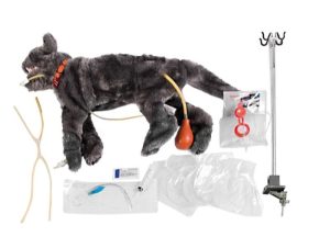 Oefenmodel Acute Zorg Kat