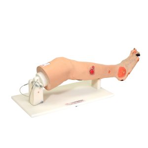Oefenmodel Arterieel Vaatlijden
