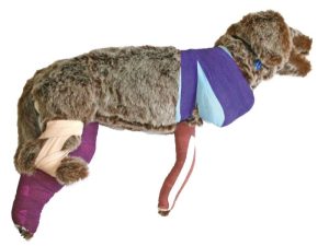 Oefenmodel Bandage Hond