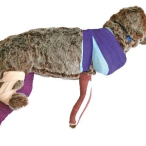 Oefenmodel Bandage Hond