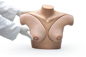 Oefenmodel Palpatie Borsten