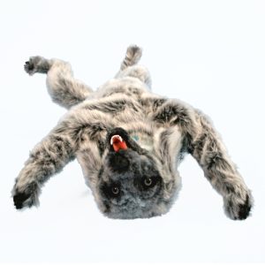 Oefenmodel Positionering Hond