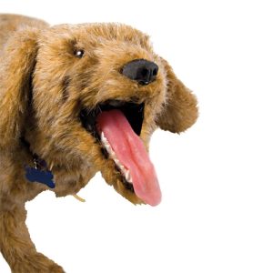 Oefenmodel Reanimatie Hond