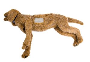 Oefenmodel Thoracocentese Hond