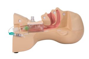 Oefenmodel Tracheotomie