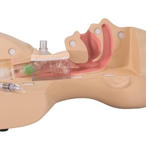 Oefenmodel Tracheotomie