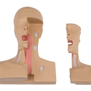 Oefenmodel Tracheotomie