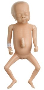 Oefenpop Premature Baby Somso Meisje