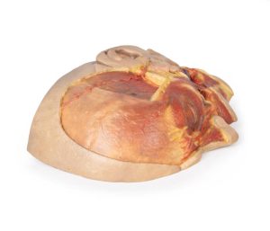 Oppervlakkige Dissectie Gezicht, 3D Print
