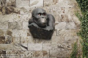 Orang-Oetan Buste